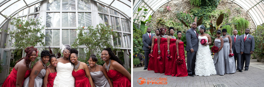 Bridal Party in the green house
