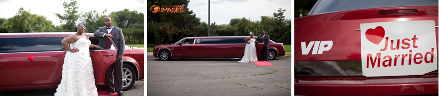 Just Married Limo Sign