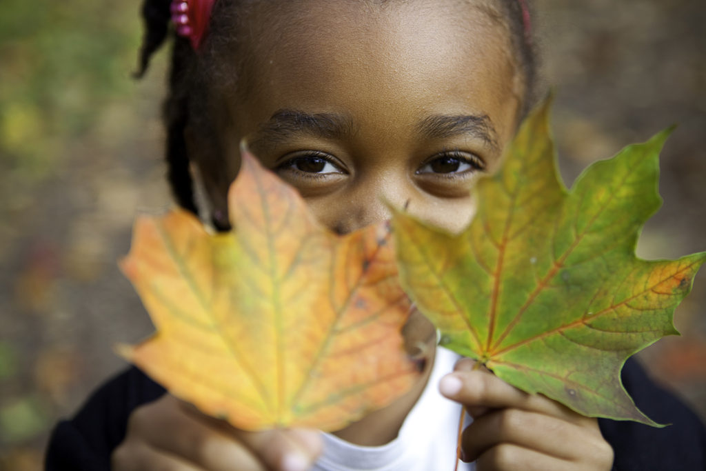 Little girl is holding leaves in the Fall at The Guild Inn Estate in Scarborough