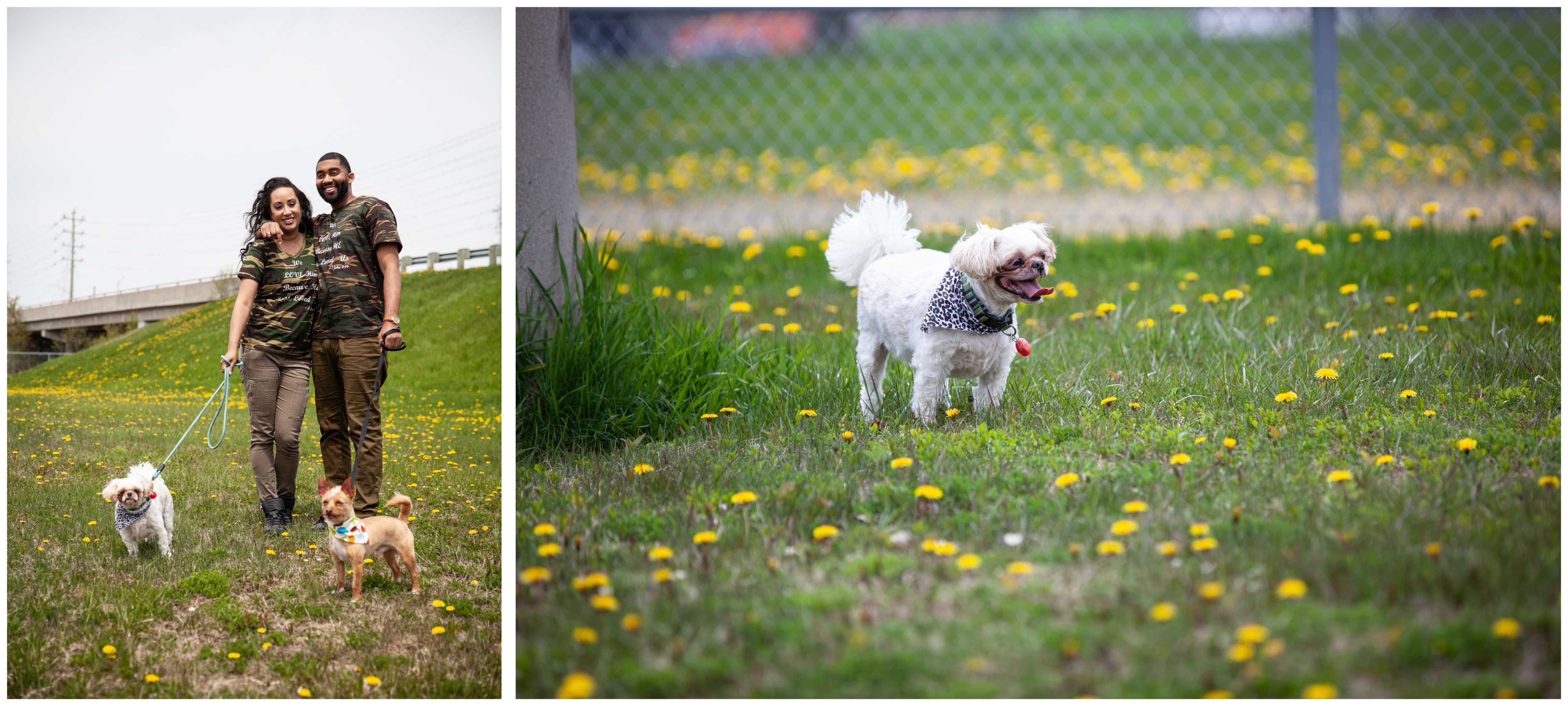 Engagement photoshoot with dogs in Whitby